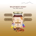 Pure Wild Forest Honey - Image 2