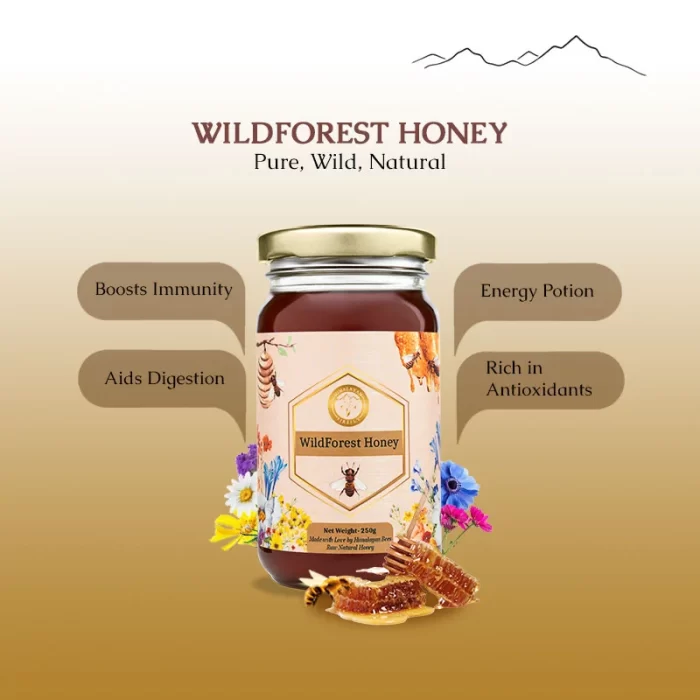 Pure Wild Forest Honey - Image 2