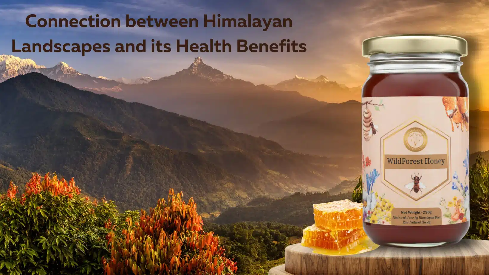 Connection between Himalayan Landscapes and Health Benefits
