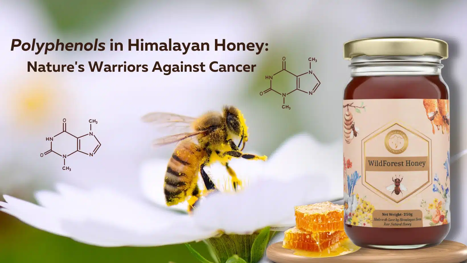 Polyphenols in Himalayan Honey Nature's Warriors Against Cancer