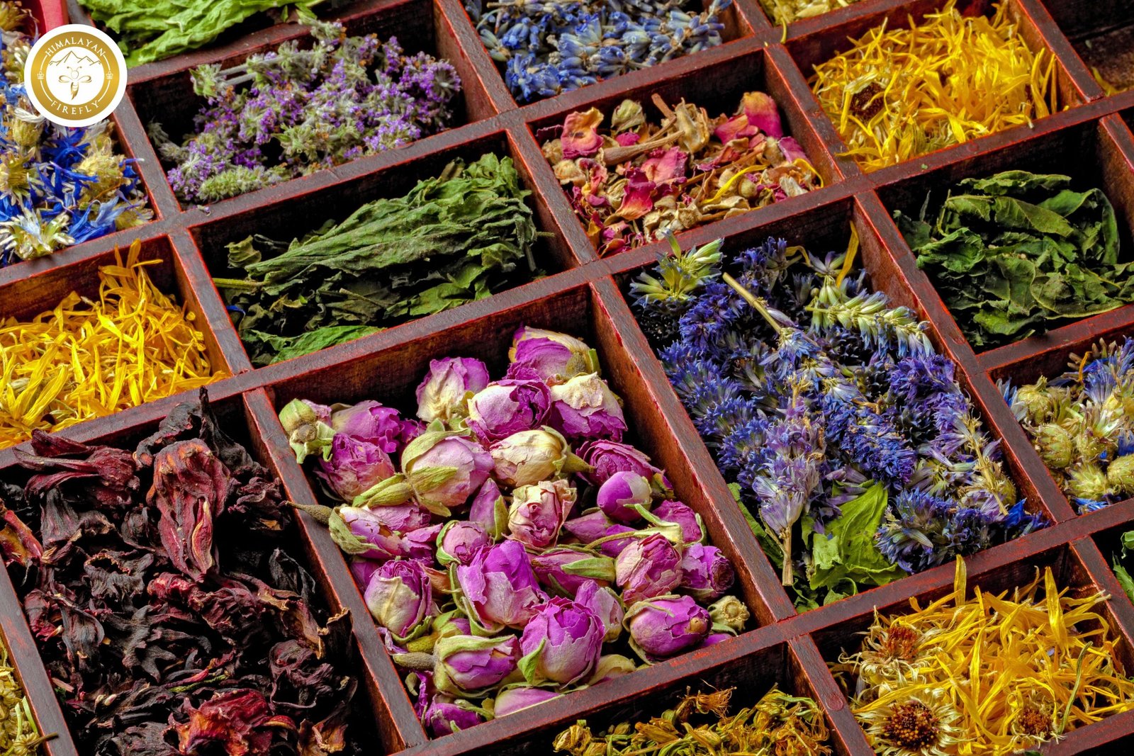 Ayurvedic Immunity Approach