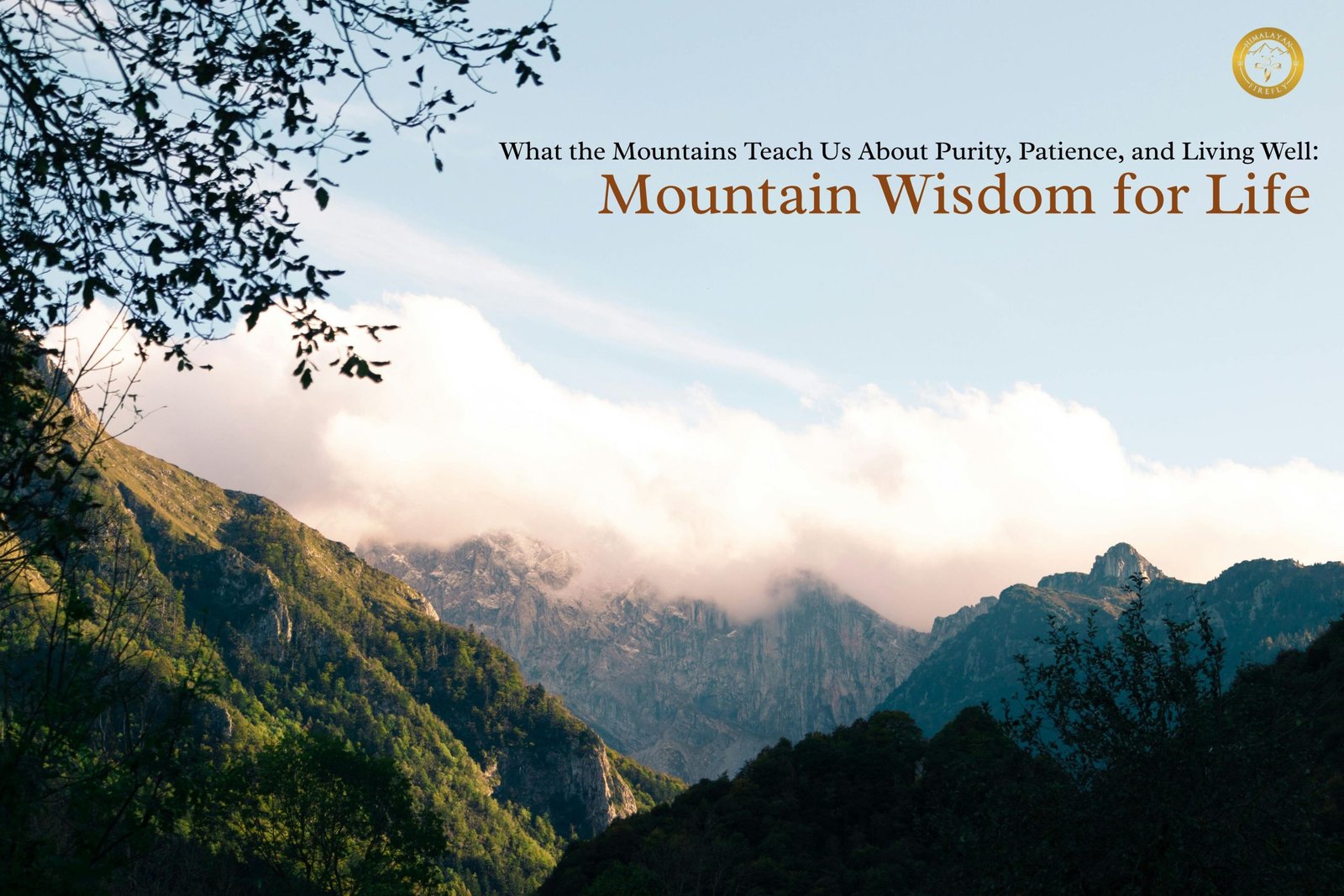 Mountain Wisdom